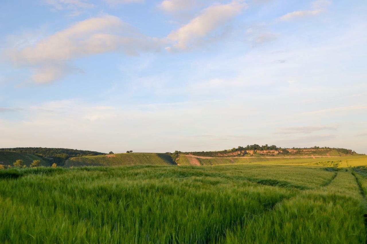 Ferienwohnung Weinblick Besigheim Exterior foto